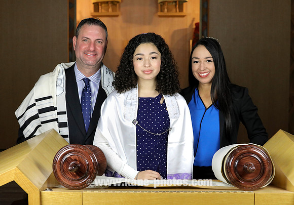 edited1-9033PP LT