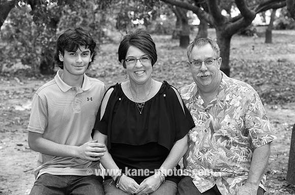 edited1-0126One LT copy