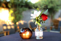 IMGL7482_edited-1